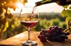 El vino tinto y sus secretos