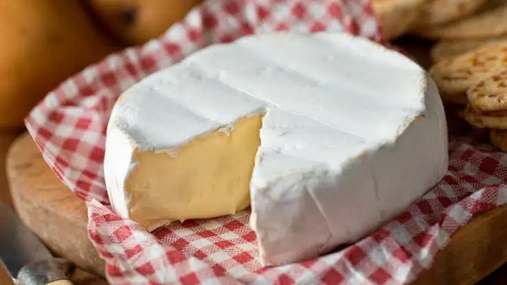 Queso Brie
