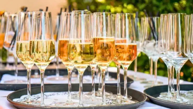 ¿Vino Blanco, rosado o espumoso Aprende a elegirlos