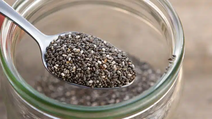 Beneficios de la Chía y cómo consumirla