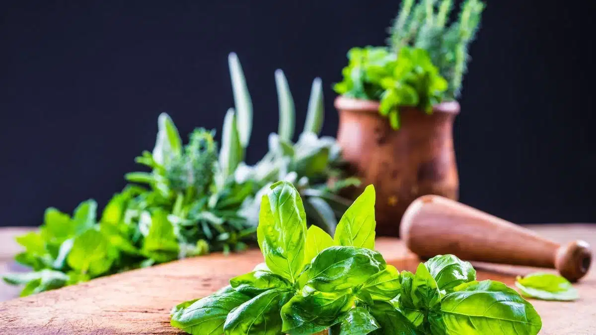 cocinar con hierbas aromáticas