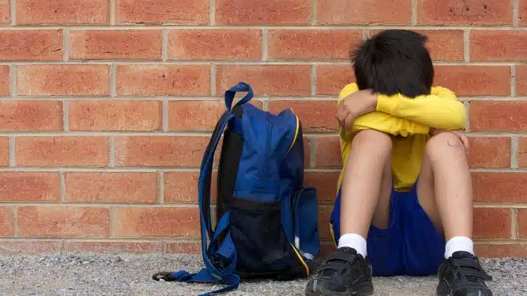 El bullying escolar