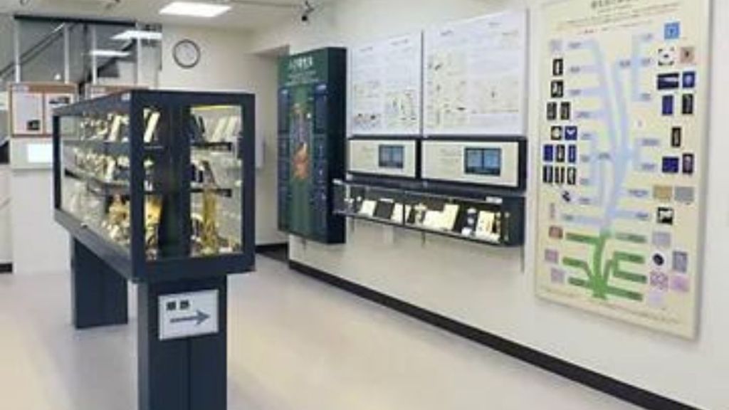 Museos más raros del mundo: museo de los parásitos