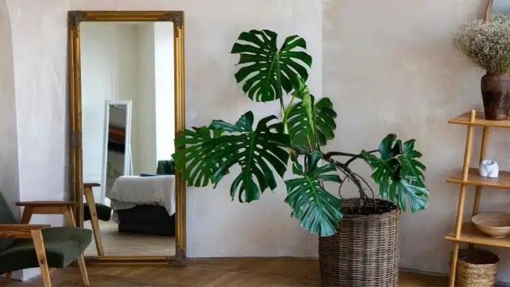 decoración de hogares pequeños con espejos