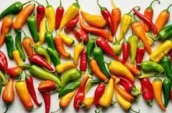 Los chiles de la cocina tradicional mexicana