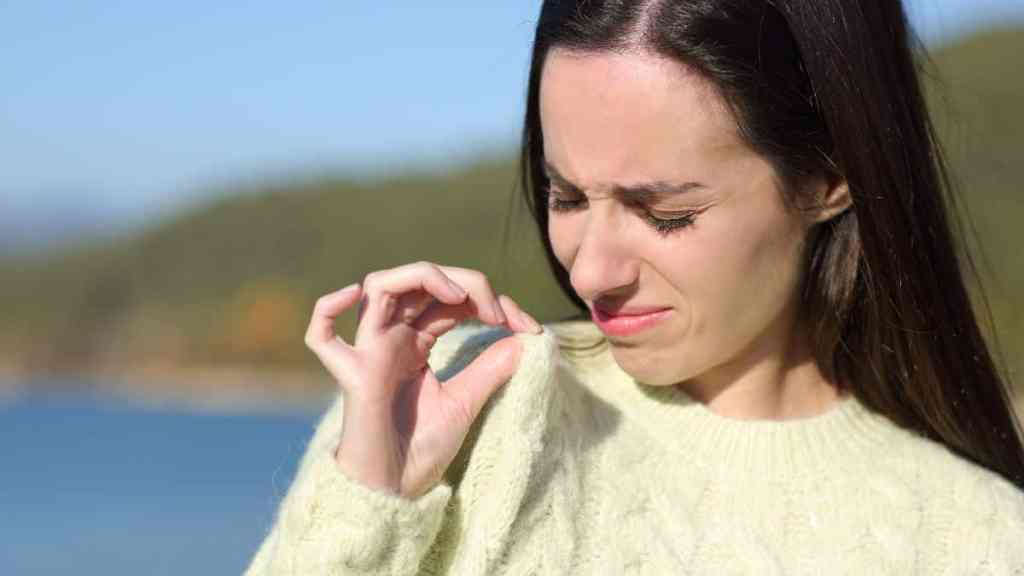 Adiós al olor a humedad en tu ropa